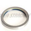 oil seal