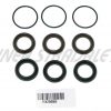 ZPO368 pump gasket kit