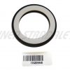 Oil seal