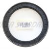 Oil seal