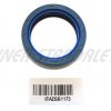 Oil seal