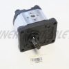 Hydraulic motor