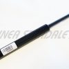 Cylinder x upper proboscis tube