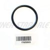 O-ring
