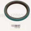 Oil seal